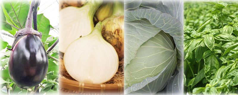 thies 1856 ® x Fukuroya Shizuku Guest & Face Towel natural dyed eggplant white onion